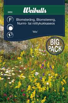 Blomsterengblanding - 25 gram